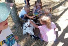 IMG_20230629_094327
