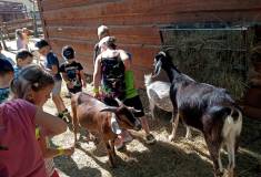 IMG_20230629_094400