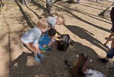 IMG_20230629_094435