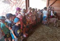 IMG_20230629_094629