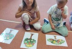 IMG_20250915_093951