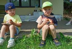 IMG_20260623_094812