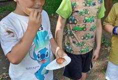 IMG_20260623_100932