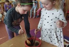 IMG_20250429_092536
