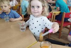 IMG_20250429_095021