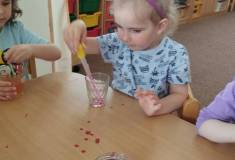 IMG_20250429_095542