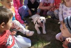 IMG_20260522_092241
