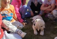IMG_20260522_092245