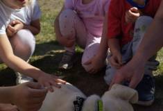 IMG_20260522_092454