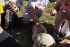 IMG_20260522_092511