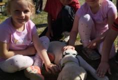 IMG_20260522_092651
