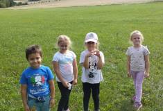 IMG_20260902_111809