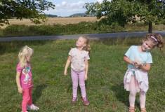 IMG_20260902_112030