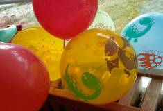 IMG_20260212_100524