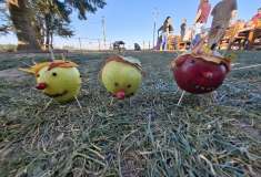 IMG-20261006-WA0010