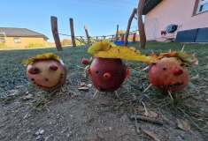 IMG-20261006-WA0012