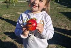 IMG-20261006-WA0014