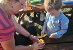 IMG-20261006-WA0016