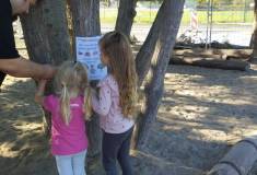 IMG_20261006_154142