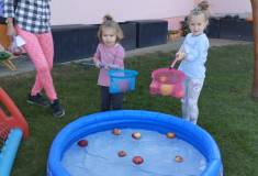 IMG_20261006_154349