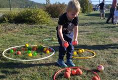 IMG_20261006_154519