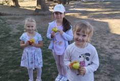 IMG_20261006_155722