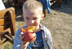 IMG_20261006_160421