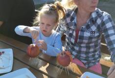 IMG_20261006_161258