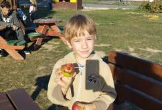 IMG_20261006_161550