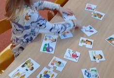 IMG_20260216_081356