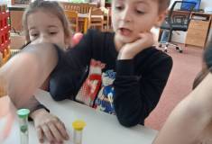 IMG_20260217_095844