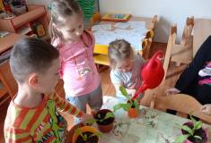 IMG_20240417_095319