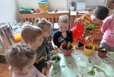 IMG_20240417_095348