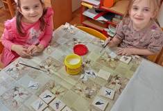 IMG_20240227_133134