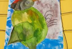 IMG_20240301_060859