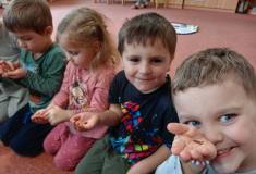 IMG_20240312_094100