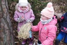 IMG_20260120_101817