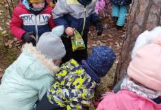 IMG_20260120_101922