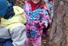 IMG_20260120_101926