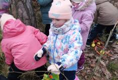 IMG_20260120_101934