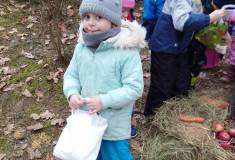 IMG_20260120_101948