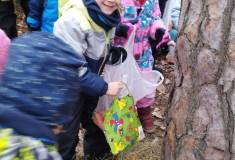 IMG_20260120_101953