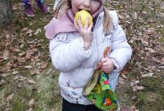 IMG_20260120_102019