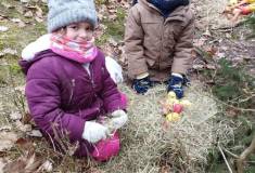 IMG_20260120_102112
