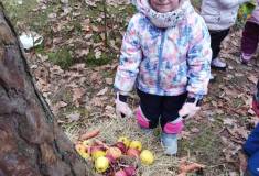 IMG_20260120_102141
