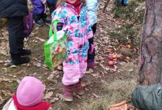 IMG_20260120_102158