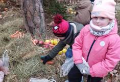 IMG_20260120_102216