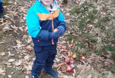 IMG_20260120_102251