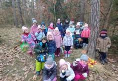 IMG_20260120_102623