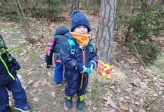 IMG_20260120_102654